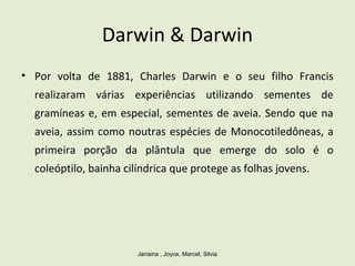 Darwin & Darwin
• Por volta de 1881, Charles Darwin e o seu filho Francis
realizaram várias experiências utilizando sementes de
gramíneas e, em especial, sementes de aveia. Sendo que na
aveia, assim como noutras espécies de Monocotiledôneas, a
primeira porção da plântula que emerge do solo é o
coleóptilo, bainha cilíndrica que protege as folhas jovens.
Janaina , Joyce, Marcel, Silvia
 
