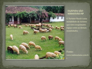 FAZENDA SÃO
SEBASTIÃO/SP
O Turismo Rural é uma
modalidade de turismo
que vem conquistanto
espaço entre as demais
modalidades.
Fonte:
www.tudoturismo.com.b
r
 