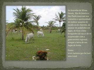As fazendas de Minas
Gerais, Rio de Janeiro e
São Paulo reservam aos
visitantes a oportunidade
de realizar passeios de
cavalo ou de charrete, de
passear de pedalinho em
lagos, de tirar o leite
fresquinho da vaca e de se
surpreender com a
gastronomia regional,
sempre a beira de um
fogão de lenha.
Fonte:
www.turismo.gov.br/turi
smo/rural
 