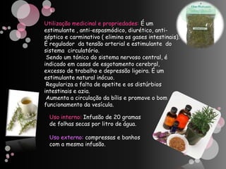Utilização medicinal e propriedades:É um estimulante , anti-espasmódico, diurético, anti-séptico e carminativo ( elimina os gases intestinais). É regulador  da tensão arterial e estimulante  do sistema  circulatório. Sendo um tónico do sistema nervoso central, é indicado em casos de esgotamento cerebral, excesso de trabalho e depressão ligeira. É um estimulante natural inócuo. Regulariza a falta de apetite e os distúrbios intestinais e azia. Aumenta a circulação da bílis e promove o bom funcionamento da vesícula.Uso interno: Infusão de 20 gramas de folhas secas por litro de água.Uso externo: compressas e banhos com a mesma infusão.