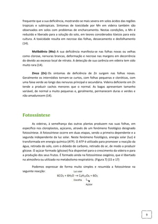 frequente que a sua deficiência, mostrando-se mais severa em solos ácidos das regiões
tropicais e subtropicais. Sintomas de toxicidade por Mn em videira também são
observados em solos com problemas de encharcamento. Nestas condições, o Mn é
reduzido e liberado para a solução do solo, em teores considerados tóxicos para esta
cultura. A toxicidade resulta em necrose das folhas, dessecamento e desfolhamento
(14).
Molibdênio (Mo): A sua deficiência manifesta-se nas folhas novas ou velhas
como clorose, nervuras brancas, deformação e necrose nas margens em decorrência
do devido ao excesso local de nitrato. A detecção de sua carência em videira tem sido
muito rara (14).
Zinco (Zn): Os sintomas de deficiência de Zn surgem nas folhas novas.
Geralmente os internódios tornam-se curtos, com folhas pequenas e cloróticas, com
uma faixa verde ao longo das nervuras principal e secundária. Videira deficiente em Zn
tende a produzir cachos menores que o normal. As bagas apresentam tamanho
variável, de normal a muito pequenas e, geralmente, permanecem duras e verdes e
não amadurecem (14).

Fotossíntese
As videiras, à semelhança das outras plantas produzem nas suas folhas, em
específico nos cloroplastos, açúcares, através de um fenómeno fisiológico designado
fotossíntese. A fotossíntese ocorre em duas etapas, sendo a primeira dependente e a
segunda independente da luz solar. Neste fenómeno fisiológico, energia solar (luz) é
transformada em energia química (ATP). O ATP é utilizado para promover a reacção da
água, retirada do solo, com o dióxido de carbono, retirado do ar, de modo a produzir
glicose. O açúcar formado (glicose) fica disponível para o crescimento da videira e para
a produção dos seus frutos. É formado ainda na fotossíntese oxigénio, que é libertado
na atmosfera ou utilizado no metabolismo respiratório. (Figura 7) (15 e 17)
Podemos expressar de forma muito simples e resumida a fotossíntese na
seguinte reacção:

9

 