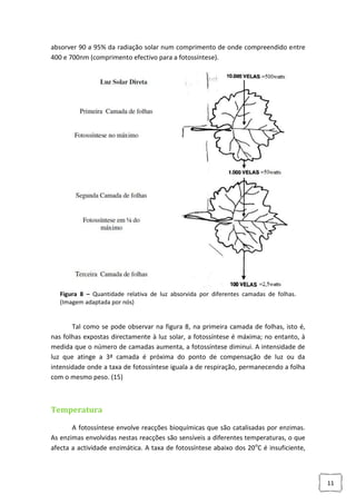 absorver 90 a 95% da radiação solar num comprimento de onde compreendido entre
400 e 700nm (comprimento efectivo para a fotossíntese).

Figura 8 – Quantidade relativa de luz absorvida por diferentes camadas de folhas.
(Imagem adaptada por nós)

Tal como se pode observar na figura 8, na primeira camada de folhas, isto é,
nas folhas expostas directamente à luz solar, a fotossíntese é máxima; no entanto, à
medida que o número de camadas aumenta, a fotossíntese diminui. A intensidade de
luz que atinge a 3ª camada é próxima do ponto de compensação de luz ou da
intensidade onde a taxa de fotossíntese iguala a de respiração, permanecendo a folha
com o mesmo peso. (15)

Temperatura
A fotossíntese envolve reacções bioquímicas que são catalisadas por enzimas.
As enzimas envolvidas nestas reacções são sensíveis a diferentes temperaturas, o que
afecta a actividade enzimática. A taxa de fotossíntese abaixo dos 20oC é insuficiente,

11

 