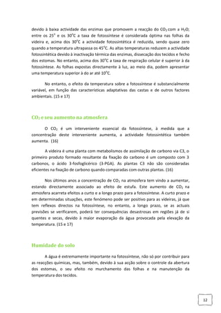 devido à baixa actividade das enzimas que promovem a reacção do CO2 com a H2O;
entre os 25o e os 30oC a taxa de fotossíntese é considerada óptima nas folhas da
videira e, acima dos 30oC a actividade fotossintética é reduzida, sendo quase zero
quando a temperatura ultrapassa os 45oC. As altas temperaturas reduzem a actividade
fotossintética devido à inactivação térmica das enzimas, dissecação dos tecidos e fecho
dos estomas. No entanto, acima dos 30oC a taxa de respiração celular é superior à da
fotossíntese. As folhas expostas directamente à luz, ao meio dia, podem apresentar
uma temperatura superior à do ar até 10oC.
No entanto, o efeito da temperatura sobre a fotossíntese é substancialmente
variável, em função das características adaptativas das castas e de outros factores
ambientais. (15 e 17)

CO2 e seu aumento na atmosfera
O CO2 é um interveniente essencial da fotossíntese, à medida que a
concentração deste interveniente aumenta, a actividade fotossintética também
aumenta. (16)
A videira é uma planta com metabolismos de assimilação de carbono via C3, o
primeiro produto formado resultante da fixação do carbono é um composto com 3
carbonos, o ácido 3-fosfoglicérico (3-PGA). As plantas C3 não são consideradas
eficientes na fixação de carbono quando comparadas com outras plantas. (16)
Nos últimos anos a concentração de CO2 na atmosfera tem vindo a aumentar,
estando directamente associado ao efeito de estufa. Este aumento de CO2 na
atmosfera acarreta efeitos a curto e a longo prazo para a fotossíntese. A curto prazo e
em determinadas situações, este fenómeno pode ser positivo para as videiras, já que
tem reflexos directos na fotossíntese, no entanto, a longo prazo, se as actuais
previsões se verificarem, poderá ter consequências desastrosas em regiões já de si
quentes e secas, devido à maior evaporação da água provocada pela elevação da
temperatura. (15 e 17)

Humidade do solo
A água é extremamente importante na fotossíntese, não só por contribuir para
as reacções químicas, mas, também, devido à sua acção sobre o controle da abertura
dos estomas, o seu efeito no murchamento das folhas e na manutenção da
temperatura dos tecidos.

12

 