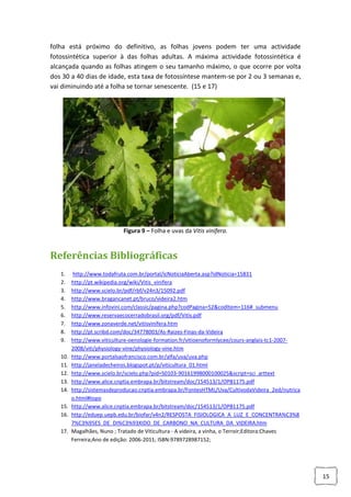 folha está próximo do definitivo, as folhas jovens podem ter uma actividade
fotossintética superior à das folhas adultas. A máxima actividade fotossintética é
alcançada quando as folhas atingem o seu tamanho máximo, o que ocorre por volta
dos 30 a 40 dias de idade, esta taxa de fotossíntese mantem-se por 2 ou 3 semanas e,
vai diminuindo até a folha se tornar senescente. (15 e 17)

Figura 9 – Folha e uvas da Vitis vinífera.

Referências Bibliográficas
1.
2.
3.
4.
5.
6.
7.
8.
9.
10.
11.
12.
13.
14.
15.
16.
17.

http://www.todafruta.com.br/portal/icNoticiaAberta.asp?idNoticia=15831
http://pt.wikipedia.org/wiki/Vitis_vinifera
http://www.scielo.br/pdf/rbf/v24n3/15092.pdf
http://www.bragancanet.pt/bruco/videira2.htm
http://www.infovini.com/classic/pagina.php?codPagina=52&codItem=116#_submenu
http://www.reservaecocerradobrasil.org/pdf/Vitis.pdf
http://www.zonaverde.net/vitisvinifera.htm
http://pt.scribd.com/doc/34778003/As-Raizes-Finas-da-Videira
http://www.viticulture-oenologie-formation.fr/vitioenoformlycee/cours-anglais-tc1-20072008/viti/physiology-vine/physiology-vine.htm
http://www.portalsaofrancisco.com.br/alfa/uva/uva.php
http://janeladecheiros.blogspot.pt/p/viticultura_01.html
http://www.scielo.br/scielo.php?pid=S0103-90161998000100025&script=sci_arttext
http://www.alice.cnptia.embrapa.br/bitstream/doc/154513/1/OPB1175.pdf
http://sistemasdeproducao.cnptia.embrapa.br/FontesHTML/Uva/CultivodaVideira_2ed/nutrica
o.html#topo
http://www.alice.cnptia.embrapa.br/bitstream/doc/154513/1/OPB1175.pdf
http://eduep.uepb.edu.br/biofar/v4n2/RESPOSTA_FISIOLOGICA_A_LUZ_E_CONCENTRA%C3%8
7%C3%95ES_DE_DI%C3%93XIDO_DE_CARBONO_NA_CULTURA_DA_VIDEIRA.htm
Magalhães, Nuno ; Tratado de Viticultura - A videira, a vinha, o Terroir;Editora:Chaves
Ferreira;Ano de edição: 2006-2011; ISBN:9789728987152;

15

 