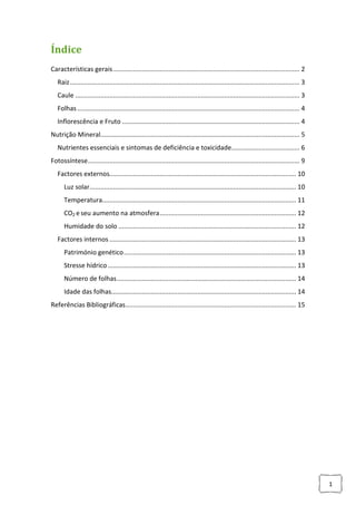 Índice
Características gerais ........................................................................................................ 2
Raiz ................................................................................................................................ 3
Caule ............................................................................................................................. 3
Folhas ............................................................................................................................ 4
Inflorescência e Fruto ................................................................................................... 4
Nutrição Mineral............................................................................................................... 5
Nutrientes essenciais e sintomas de deficiência e toxicidade...................................... 6
Fotossíntese ...................................................................................................................... 9
Factores externos........................................................................................................ 10
Luz solar ................................................................................................................... 10
Temperatura............................................................................................................ 11
CO2 e seu aumento na atmosfera ............................................................................ 12
Humidade do solo ................................................................................................... 12
Factores internos ........................................................................................................ 13
Património genético ................................................................................................ 13
Stresse hídrico ......................................................................................................... 13
Número de folhas .................................................................................................... 14
Idade das folhas....................................................................................................... 14
Referências Bibliográficas ............................................................................................... 15

1

 