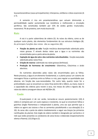 leucoantocianidinas (casca principalmente), triterpenos, estilbeno e óleos essenciais (6
e 7).
A semente é rica em proantocianidinas que actuam diminuindo a
permeabilidade capilar aumentando sua resistência e melhorando a circulação
periférica. São constituídas também por 15% de ácidos gordos insaturados;
resveratrol; 7% de proteína, com muita leucina (6)

Raiz
A raiz é a parte subterrânea de videira (5). As raízes da videira, como as de
qualquer outra planta, são elementos fundamentais da sua estrutura biológica (8).
As principais funções das raízes são as seguintes (8):






Fixação da planta ao solo- função mecânica desempenhado sobretudo pelas
raízes grossas. É através destas raízes que a água e os nutrientes são
encaminhados para a parte aérea da planta.
Captação de água do solo e dos nutrientes nela dissolvidos - função executada
sobretudo pelas raízes finas
Criação de reserva- sobretudo nas raízes grossas (lenhosas).
Produção de hormonas de crescimento- Giberelinas, Citocininas e ácido
abscísico.

Os nutrientes absorvidos pelas raízes são encaminhados para as folhas.
Neste processo, a água é um elemento fundamental, e a planta possuí um sistema de
mensagens físicas e químicas entre as folhas e a raiz, para regular as quantidades que
absorve, em função das suas necessidades. Por outro lado, quanto maior for a
profundidade a que se encontram as raízes finas (entre 60 e 100cm, ou mais), maior é
a capacidade das videiras para resistir à seca, nos meses de Julho e Agosto (8). As
raízes da videira conseguem descer até 40/50m (9).

Caule
O caule jovem é de cor verde, tornando-se escuro posteriormente (10). A
videira é composta por um caule espesso e resistente, no qual se encontram folhas e
gavinhas (órgão filamentoso e indispensável à planta, uma vez que permite que a
videira se agarre aos tutores e fixe os sarmentos possibilitando a sua elevação) (5 e
10). As varas são a parte da videira imediatamente a seguir aos braços (as primeiras
ramificações da planta). Este órgão da videira também é designado por sarmento e é
nele que estão presentes os condutores de seiva bruta e elaborada (respectivamente
xilema e floema). (11) (Figura 2).

3

 