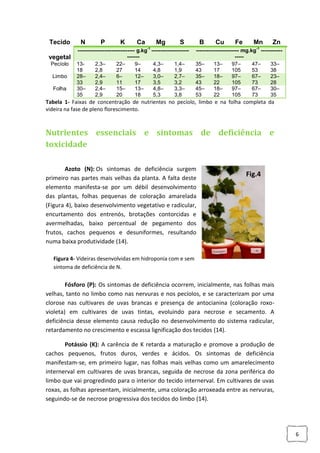 Tecido

N

P

K

Ca

Mg

S

-1

vegetal
Pecíolo
Limbo
Folha

-------------------------------- g.kg --------------------------132,3–
22–
9–
4,3–
1,4–
18
2,8
27
14
4,8
1,9
28–
2,4–
6–
12–
3,0–
2,7–
33
2,9
11
17
3,5
3,2
30–
2,4–
15–
13–
4,8–
3,3–
35
2,9
20
18
5,3
3,8

B

Cu

Fe

Mn

Zn

-1

------------------------ mg.kg ---------------35–
13–
97–
47–
33–
43
17
105
53
38
35–
18–
97–
67–
23–
43
22
105
73
28
45–
18–
97–
67–
30–
53
22
105
73
35

Tabela 1- Faixas de concentração de nutrientes no pecíolo, limbo e na folha completa da
videira na fase de pleno florescimento.

Nutrientes essenciais e sintomas de deficiência e
toxicidade
Azoto (N): Os sintomas de deficiência surgem
primeiro nas partes mais velhas da planta. A falta deste
elemento manifesta-se por um débil desenvolvimento
das plantas, folhas pequenas de coloração amarelada
(Figura 4), baixo desenvolvimento vegetativo e radicular,
encurtamento dos entrenós, brotações contorcidas e
avermelhadas, baixo percentual de pegamento dos
frutos, cachos pequenos e desuniformes, resultando
numa baixa produtividade (14).

Fig.4

Figura 4- Videiras desenvolvidas em hidroponia com e sem
sintoma de deficiência de N.

Fósforo (P): Os sintomas de deficiência ocorrem, inicialmente, nas folhas mais
velhas, tanto no limbo como nas nervuras e nos pecíolos, e se caracterizam por uma
clorose nas cultivares de uvas brancas e presença de antocianina (coloração roxovioleta) em cultivares de uvas tintas, evoluindo para necrose e secamento. A
deficiência desse elemento causa redução no desenvolvimento do sistema radicular,
retardamento no crescimento e escassa lignificação dos tecidos (14).
Potássio (K): A carência de K retarda a maturação e promove a produção de
cachos pequenos, frutos duros, verdes e ácidos. Os sintomas de deficiência
manifestam-se, em primeiro lugar, nas folhas mais velhas como um amarelecimento
internerval em cultivares de uvas brancas, seguida de necrose da zona periférica do
limbo que vai progredindo para o interior do tecido internerval. Em cultivares de uvas
roxas, as folhas apresentam, inicialmente, uma coloração arroxeada entre as nervuras,
seguindo-se de necrose progressiva dos tecidos do limbo (14).

6

 