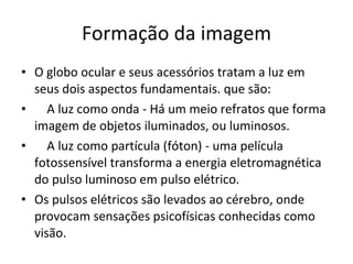 Formação da imagem O globo ocular e seus acessórios tratam a luz em seus dois aspectos fundamentais. que são:       A luz como onda - Há um meio refratos que forma imagem de objetos iluminados, ou luminosos.      A luz como partícula (fóton) - uma película fotossensível transforma a energia eletromagnética do pulso luminoso em pulso elétrico. Os pulsos elétricos são levados ao cérebro, onde provocam sensações psicofísicas conhecidas como visão. 