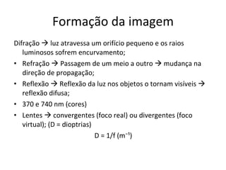Formação da imagem Difração    luz atravessa um orifício pequeno e os raios luminosos sofrem encurvamento; Refração    Passagem de um meio a outro    mudança na direção de propagação; Reflexão    Reflexão da luz nos objetos o tornam visíveis    reflexão difusa; 370 e 740 nm (cores) Lentes    convergentes (foco real) ou divergentes (foco virtual); (D = dioptrias) D = 1/f (m⁻¹) 