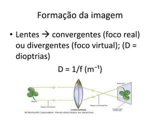 Formação da imagem Lentes    convergentes (foco real) ou divergentes (foco virtual); (D = dioptrias) D = 1/f (m⁻¹) 