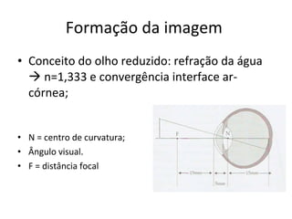 Formação da imagem  Conceito do olho reduzido: refração da água    n=1,333 e convergência interface ar-córnea;  N = centro de curvatura; Ângulo visual. F = distância focal 