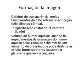 Formação da imagem Defeitos de transparência: meios tansparentes do olho sofrem opacificação (cristalino ou córnea). Opacificação cristalino    catarata (idade) Volume do humor aquoso: Quando há impedimentos da drenagem do humor aquoso pelas canal de Schlemm há um aumento de pressão, que pode destruir as células fotorreceptoras causando o glaucoma que leva a cegueira. 