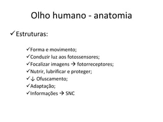 Olho humano - anatomia Estruturas: Forma e movimento; Conduzir luz aos fotossensores; Focalizar imagens    fotorreceptores; Nutrir, lubrificar e proteger; ↓  Ofuscamento; Adaptação; Informações    SNC 