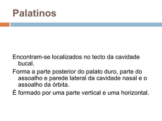 Palatinos
Encontram-se localizados no tecto da cavidade
bucal.
Forma a parte posterior do palato duro, parte do
assoalho e parede lateral da cavidade nasal e o
assoalho da órbita.
É formado por uma parte vertical e uma horizontal.
 