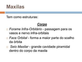 Maxilas
Tem como estruturas:
Corpo
 Forame Infra-Orbitário - passagem para os
vasos e nervo infra-orbitais
 Face Orbital - forma a maior parte do soalho
da órbita
 Seio Maxilar - grande cavidade piramidal
dentro do corpo da maxila
 