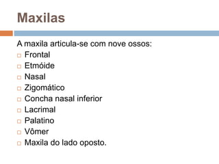 Maxilas
A maxila articula-se com nove ossos:
 Frontal
 Etmóide
 Nasal
 Zigomático
 Concha nasal inferior
 Lacrimal
 Palatino
 Vômer
 Maxila do lado oposto.
 