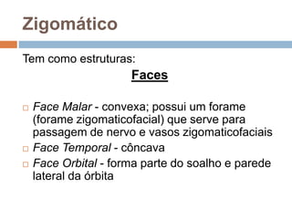 Zigomático
Tem como estruturas:
Faces
 Face Malar - convexa; possui um forame
(forame zigomaticofacial) que serve para
passagem de nervo e vasos zigomaticofaciais
 Face Temporal - côncava
 Face Orbital - forma parte do soalho e parede
lateral da órbita
 