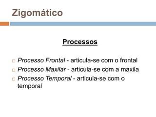 Zigomático
Processos
 Processo Frontal - articula-se com o frontal
 Processo Maxilar - articula-se com a maxila
 Processo Temporal - articula-se com o
temporal
 