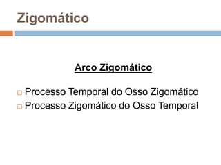 Zigomático
Arco Zigomático
 Processo Temporal do Osso Zigomático
 Processo Zigomático do Osso Temporal
 
