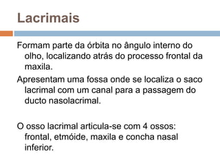 Lacrimais
Formam parte da órbita no ângulo interno do
olho, localizando atrás do processo frontal da
maxila.
Apresentam uma fossa onde se localiza o saco
lacrimal com um canal para a passagem do
ducto nasolacrimal.
O osso lacrimal articula-se com 4 ossos:
frontal, etmóide, maxila e concha nasal
inferior.
 