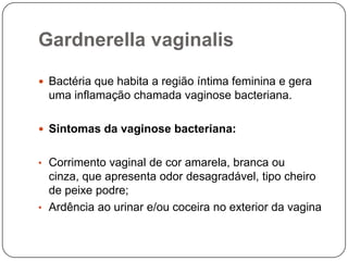 Gardnerella vaginalis
 Bactéria que habita a região íntima feminina e gera
uma inflamação chamada vaginose bacteriana.
 Sintomas da vaginose bacteriana:
• Corrimento vaginal de cor amarela, branca ou
cinza, que apresenta odor desagradável, tipo cheiro
de peixe podre;
• Ardência ao urinar e/ou coceira no exterior da vagina
 