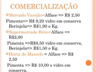 COMERCIALIZAÇÃO Mercado Varejão= Alface => R$ 2,50 Pimenta=> R$ 9,20 vidro em conserva Berinjela=> R$1,90 o Kg. Supermercado Brito= Alface => R$2,00 Pimenta =>R$8,50 vidro em conserva, Berinjela=> R$1,50 o Kg. Horta do Marcelo  = Alface => R$ 2,50 Pimenta => R$ 10,00 o vidro em conserva, Berinjela => R$ 1,50 o Kg 