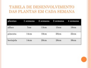 TABELA DE DESENVOLVIMENTO DAS PLANTAS EM CADA SEMANA plantas 1 semana 2 semana 3 semana 4 semana alface 7cm 13cm 15cm 19cm pimenta 14cm 18cm 20cm 22cm berinjela 14cm 20cm 26cm 36cm 