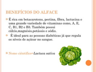 BENEFÍCIOS DO ALFACE É rica em betacaroteno, pectina, fibra, lactucina e uma grande variedade de vitaminas como, A, E, C, B1, B2 e B3. Também possui cálcio,magnésio,potássio e sódio.   É ideal para as pessoas diabéticas já que regula os níveis de açúcar no sangue. Nome ciêntifico= Lactuca sativa 