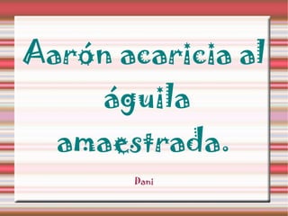 Aarón acaricia al águila amaestrada. Dani