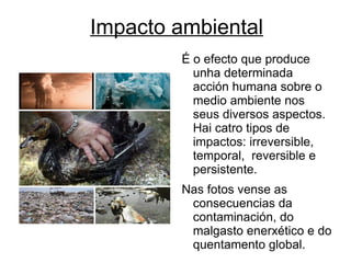 Sustentabilidade Refírese ao modelo de organización e produción de enerxía e bens, que cubrindo as necesidades humanas, deixa ás xeracións futuras polo menos o mesmo nivel de recursos naturais e conservación da biosfera que os existentes no momento actual. 