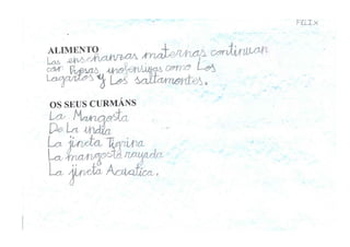 Traballo Animais Salvaxes