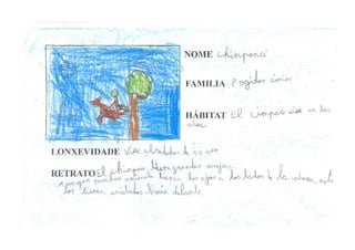 Traballo Animais Salvaxes