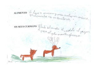 Traballo Animais Salvaxes