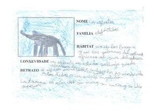 Traballo Animais Salvaxes