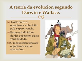 
A teoría da evolución segundo
Darwin e Wallace.
 Existe entre os
organismos unha loita
pola supervivencia.
 Entre os individuos
dunha poboación existe
variabilidade.
 O medio selecciona aos
organismos mellor
adaptados.
 