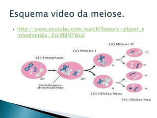  http://www.youtube.com/watch?feature=player_e
mbedded&v=EsHfBINTWuE
 