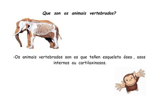 Que son os animais vertebrados?
-Os animais vertebrados son os que teñen esqueleto óseo , osos
internos ou cartilaxinosos.
 