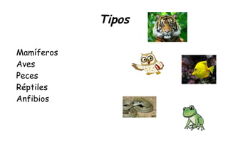 Tipos
Mamíferos
Aves
Peces
Réptiles
Anfibios
 