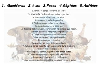1. Mamíferos 2.Aves 3.Peces 4.Réptiles 5.Anfibios
1.Teñen o corpo cuberto de pelo.
Os mamíferos acuáticos teñen a pel lisa.
Alimentan as súas crías con leite.
Respiran a través de pulmóns.
2.Teñen o corpo cuberto de plumas.
Poseen dúas patas e dúas ás.
A maioría das aves voan, pero tamén hai outras que nadan,
camiñan e corren. Respiran por pulmóns.
3.Teñen o corpo cuberto de escamas.
Teñen aletas cas cales poden nadar.
Respiran por branquias.
Poden vivir en auga dolce ou salgada.
4.Teñen o corpo cuberto por una escama dura e áspera.
Hai réptiles con caparazón.
Poseen patas cortas, algunhos non teñen patas.
5.Teñen o corpo cuberto por unha pel húmida,
polo que necesitan vivir cerca da agua.
Teñen patas musculosas que lles permiten saltar ó nadar.
 