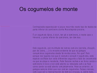 Os cogumelos de monte 