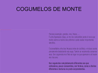 COGUMELOS DE MONTE 