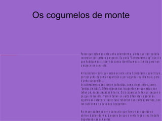 Os cogumelos de monte 