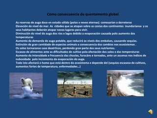 Como consecuencia do quentamento global As reservas de auga doce en estado sólido (polos e neves eternas)  comezarían a derreterse Elevación do nivel do mar. As  cidades que se atopan sobre as costas dos continentes  inundaríanse  y os seus habitantes deberán atopar novos lugares para vivir. Diminución do nivel do auga dos ríos e lagos debido a evaporación causada polo aumento das temperaturas Aumento da demanda do auga potable, que reducirá os niveis dos embalses, causando sequías. Extinción de gran cantidade de especies animais a consecuencia dos cambios nos ecosistemas . Os solos tornaranse case desérticos, perdendo gran parte dos seus nutrientes. Escasea de alimentos ante as dificultades de cultivo pola afectación dos solos e das temperaturas Aumento da intensidade e frecuencia das chuvias, furacáns e tornados, ante un ascenso nos índices de nubosidade  polo incremento da evaporación do auga. Todo isto afectará o home que está dentro do ecosistema e depende del (sequías escaseza de cultivos, aumentos fortes de temperatura, enfermedades…) 