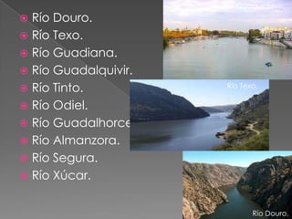 Río Guadalquivir.
 Río Douro.
 Río Texo.
 Río Guadiana.
 Río Guadalquivir.
 Río Tinto.          Río Texo.

 Río Odiel.
 Río Guadalhorce.
 Río Almanzora.
 Río Segura.
 Río Xúcar.


                              Río Douro.
 