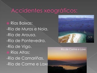 Ría de Arousa.

 Rías Baixas:
-Ría de Muros e Noia.
-Ría de Arousa.
-Ría de Pontevedra.
-Ría de Vigo.
                        Ría de Corme e Laxe.
 Rías Altas:
-Ría de Camariñas.
-Ría de Corme e Laxe.
 
