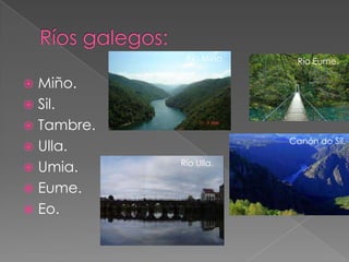 Río Miño.    Río Eume.

 Miño.
 Sil.
 Tambre.
                         Canón do Sil.
 Ulla.
 Umia.     Río Ulla.


 Eume.
 Eo.
 