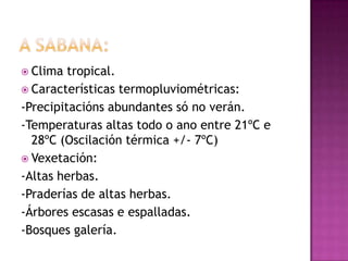  Clima  tropical.
 Características termopluviométricas:
-Precipitacións abundantes só no verán.
-Temperaturas altas todo o ano entre 21ºC e
  28ºC (Oscilación térmica +/- 7ºC)
 Vexetación:
-Altas herbas.
-Praderías de altas herbas.
-Árbores escasas e espalladas.
-Bosques galería.
 