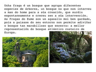 Unha fraga é un bosque que agrupa diferentes 
especies de árbores, un bosque no que non interveu 
a man do home para a súa creación, que xurdiu 
espontaneamente e creceu sen a súa intervención.
As Fragas do Eume son un agasallo moi ben gardado, 
pois a paisaxe do seu entorno non permite adiviñar 
o bosque tan marabilloso que encerra: a mellor 
representación do bosque atlántico costeiro de 
Europa.
 