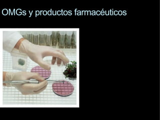 OMGs y productos farmacéuticos 