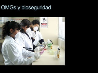 OMGs  y bioseguridad 